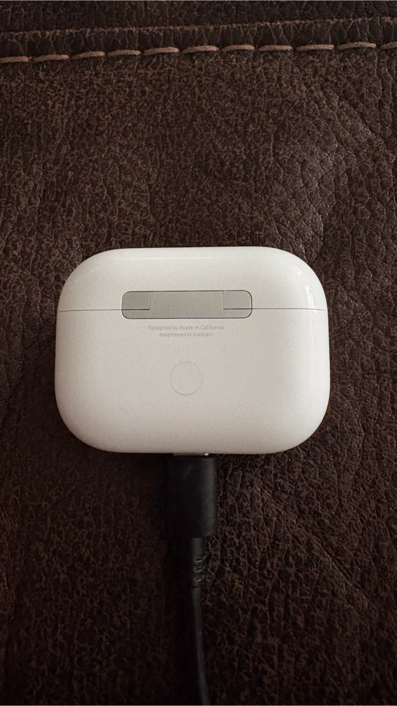 Apple AirPods Pro Charging Case - photo 5