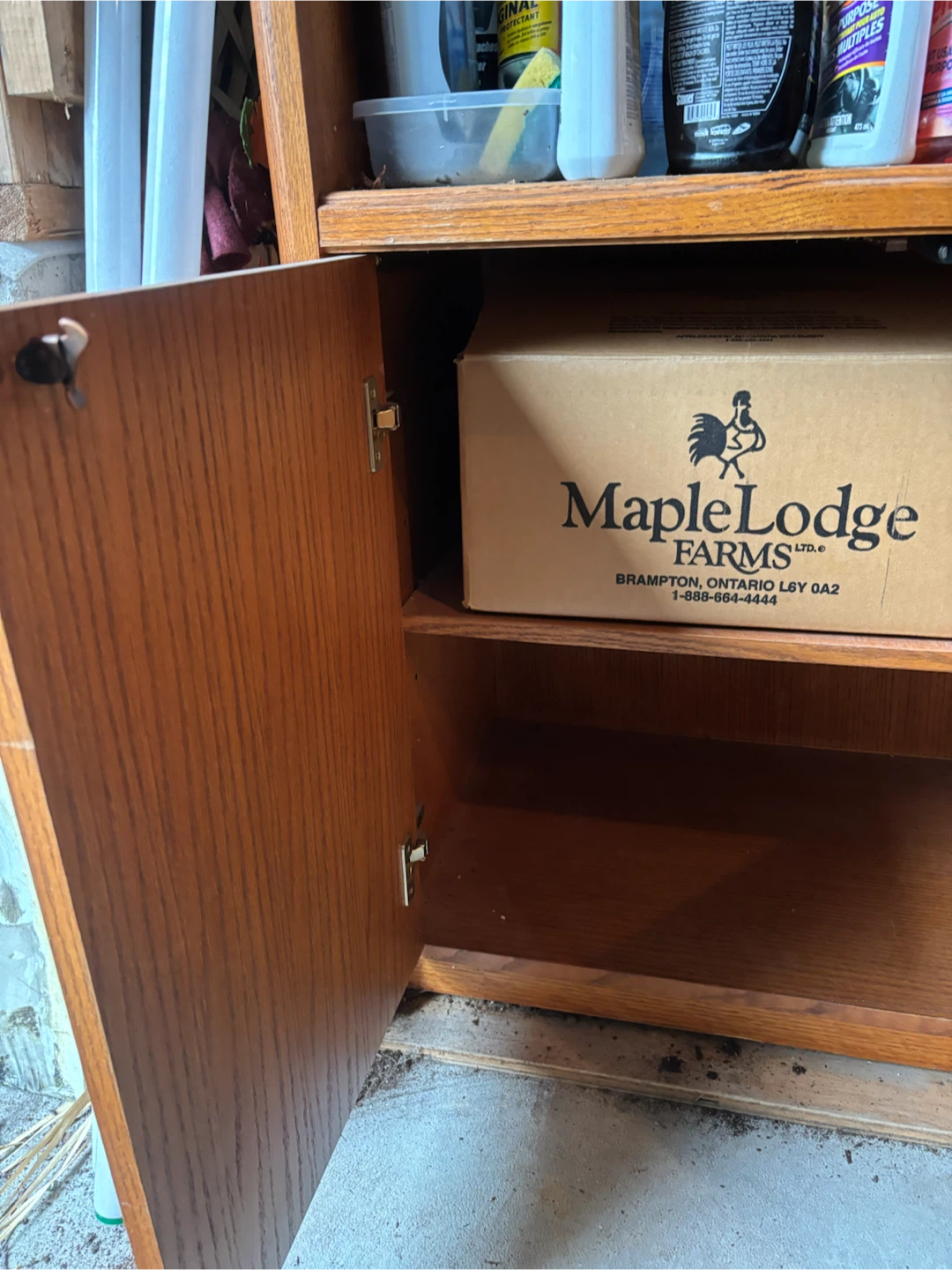Wooden Bookcase with Lower Cabinet - photo 4