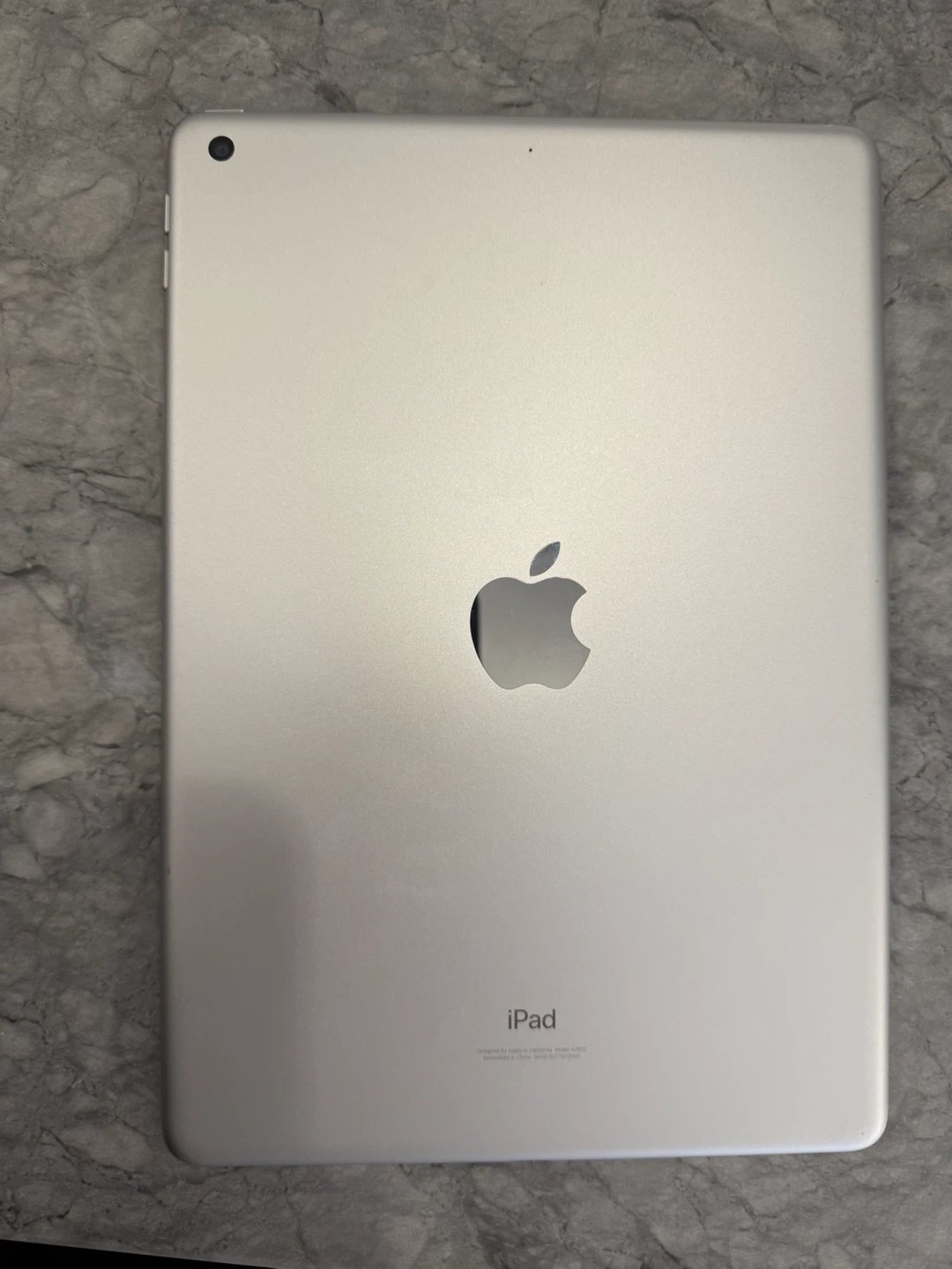 Apple iPad Tablet - Silver