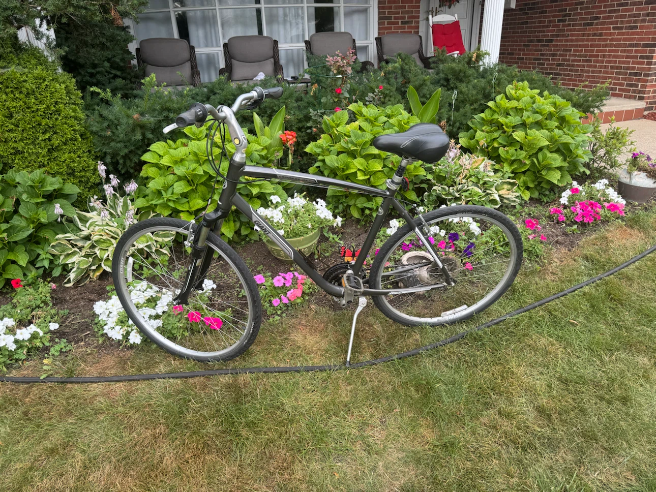 Giant Cypress add Bicycle