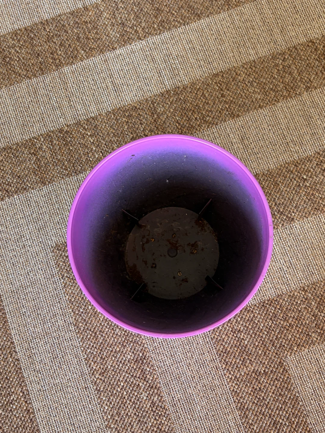Purple Plastic Planter Pot - photo 2