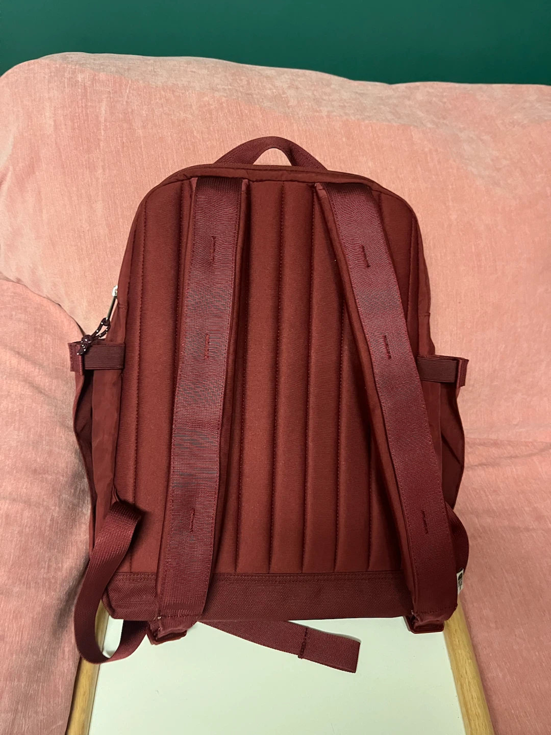 The North Face Fine Alpine Equipment Backpack – Burgundy - photo 3