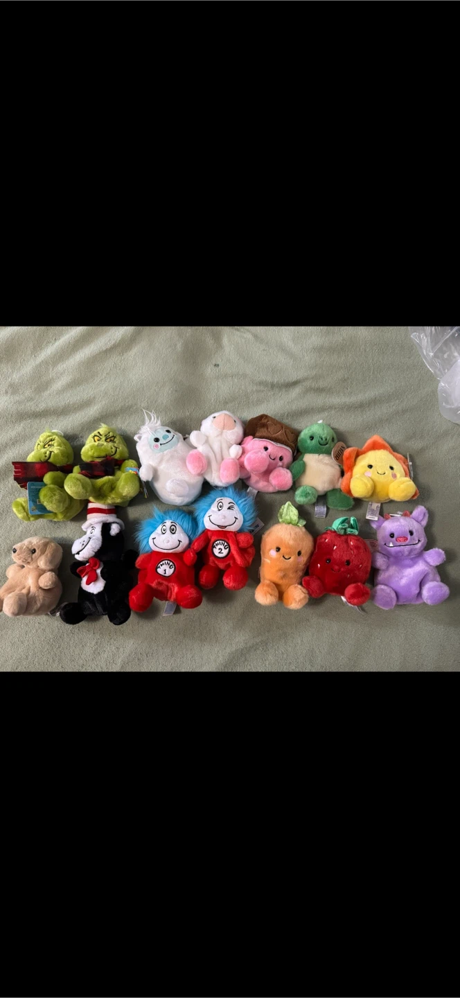 Palm Pal Lot