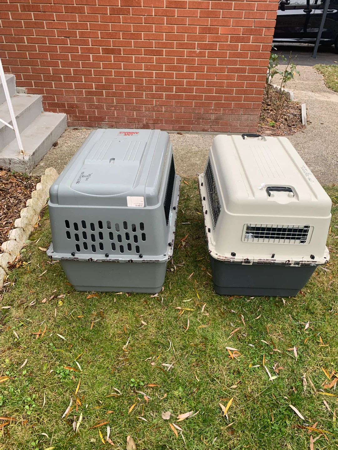 Pet Carrier Crate