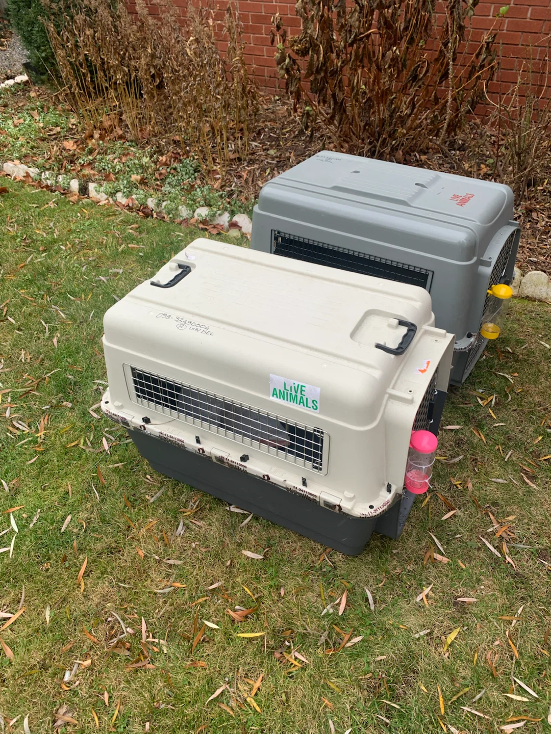 Pet Carrier Crate - photo 2