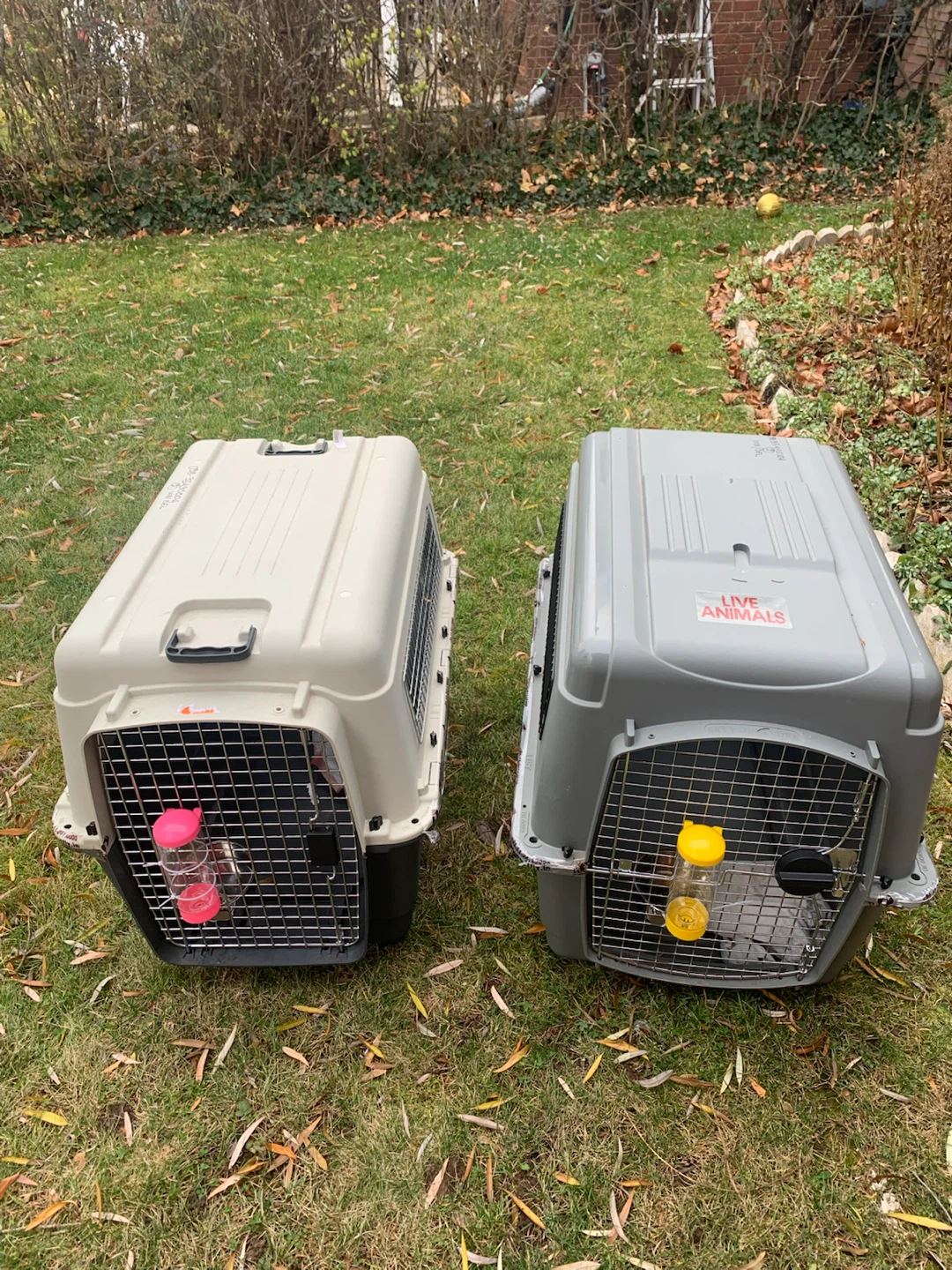 Pet Carrier Crate - photo 3