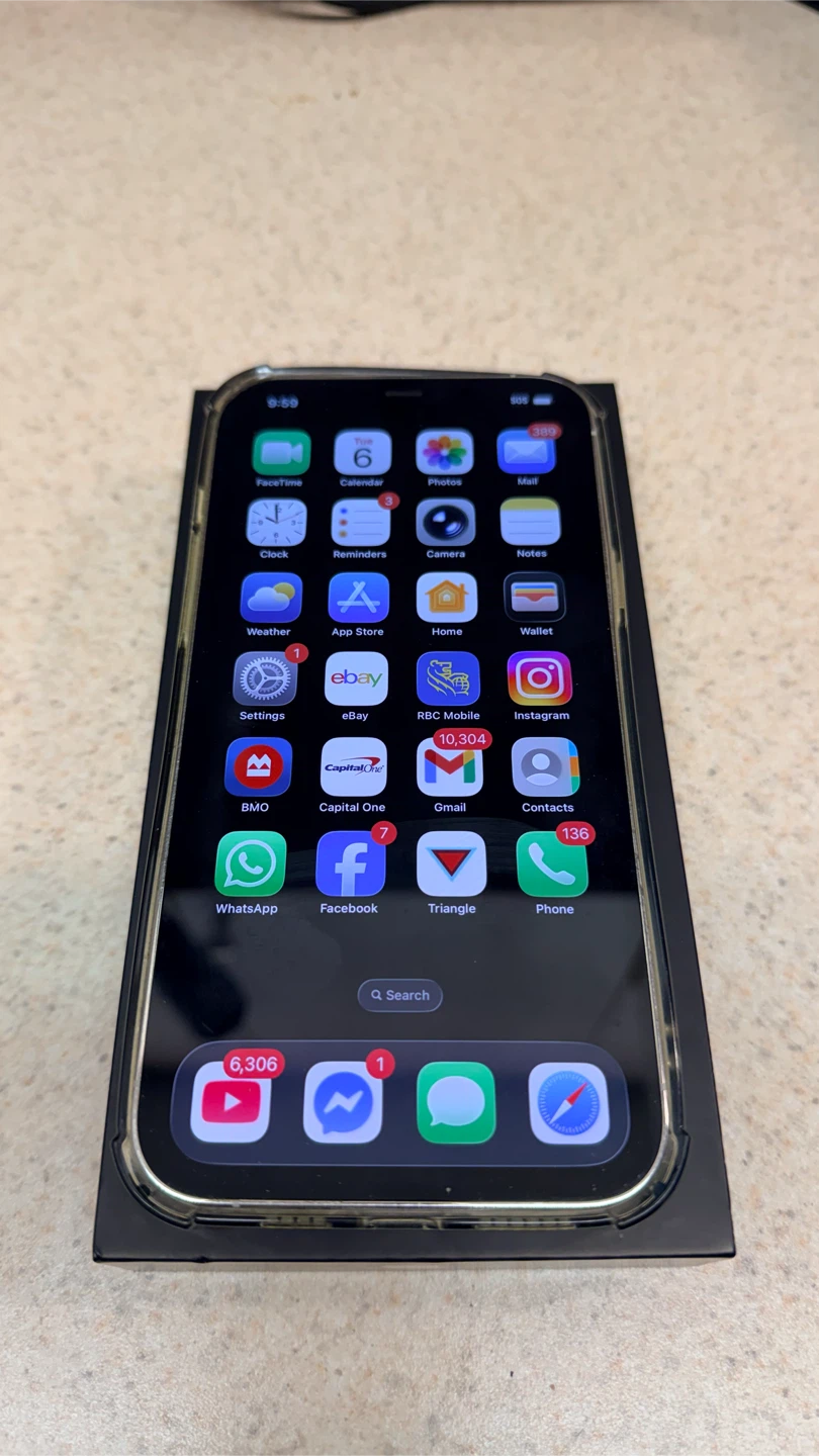 Apple iPhone 12 Pro Max