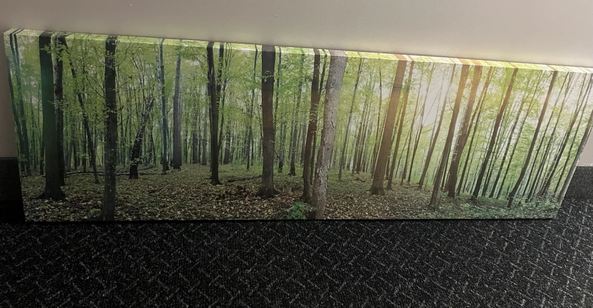 Forest Painting