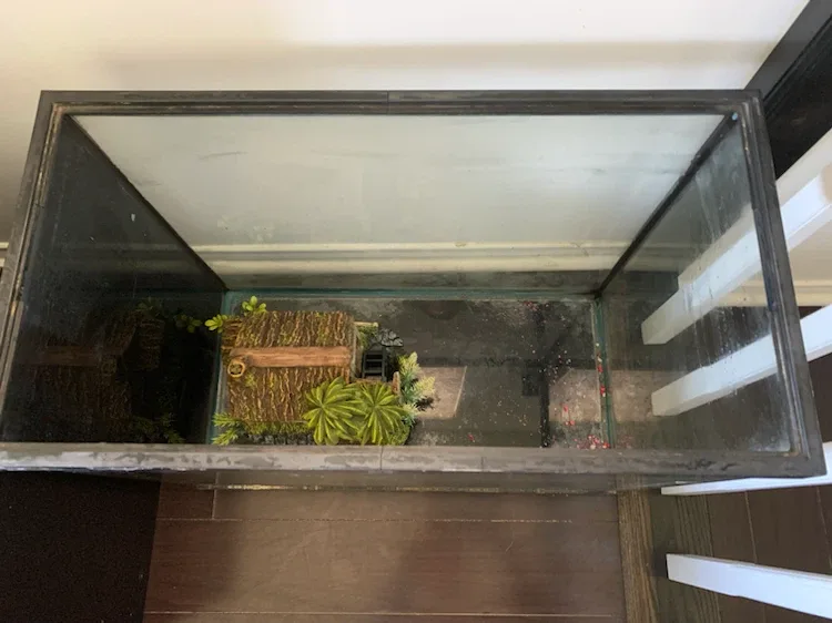 Glass tank - photo 2