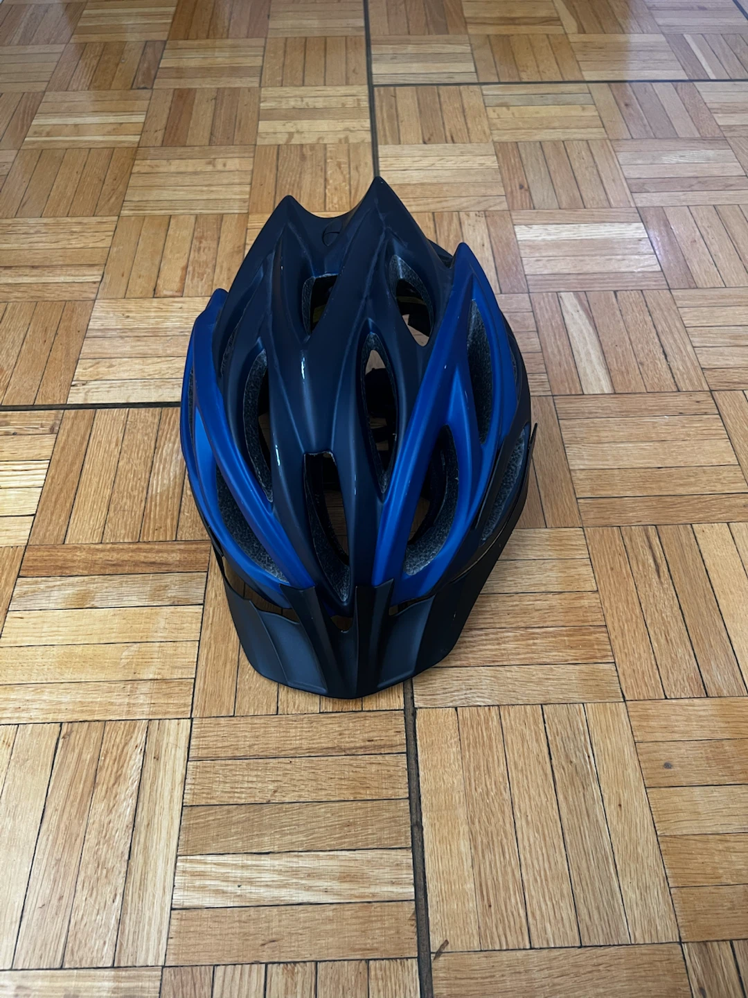 Black and Blue Bicycle Helmet