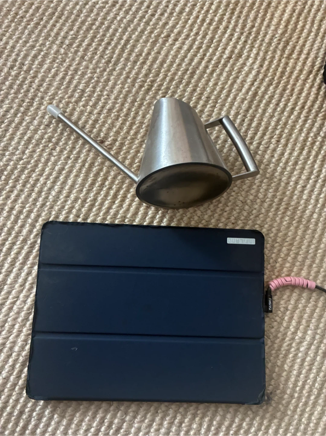 Stainless Steel Watering Can with Long Spout