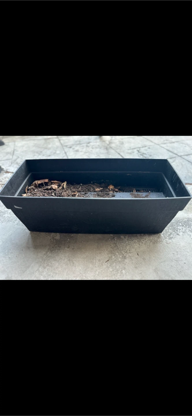 Rectangular Planter Box