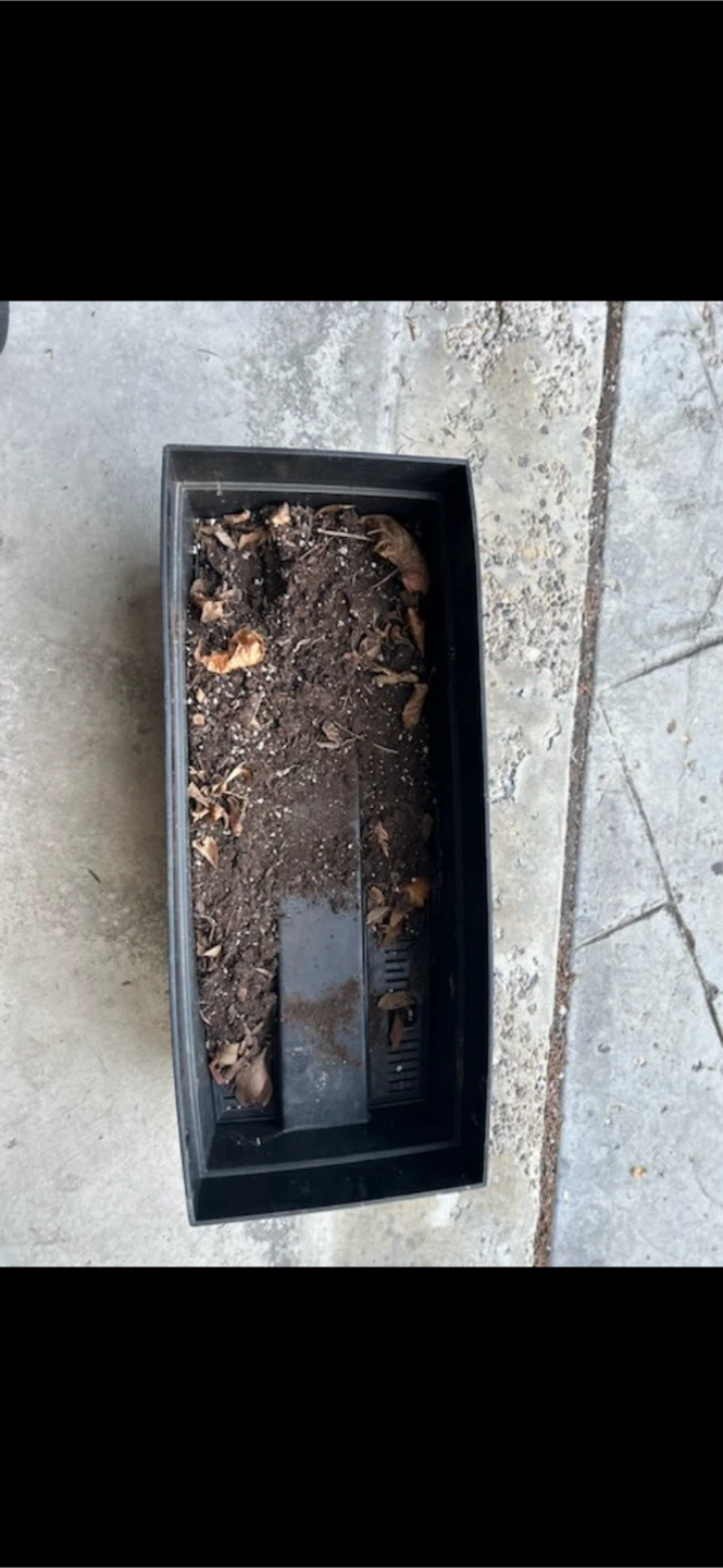 Rectangular Planter Box - photo 2