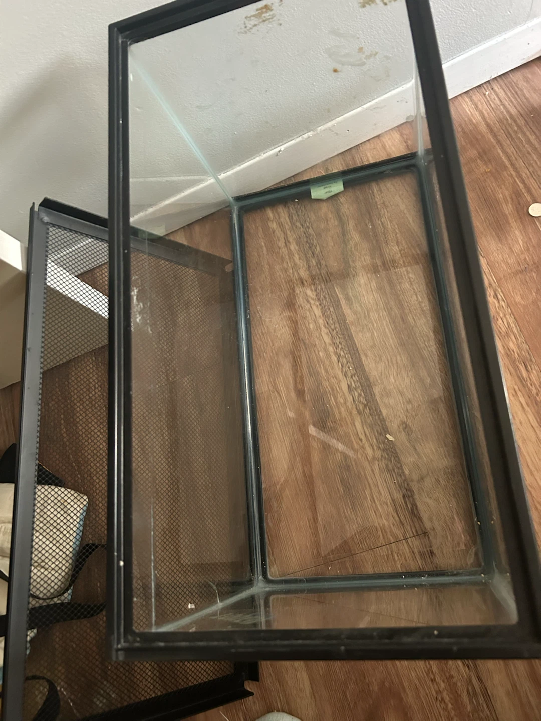 20 Gallon Glass Terrarium Tank with Mesh Lid