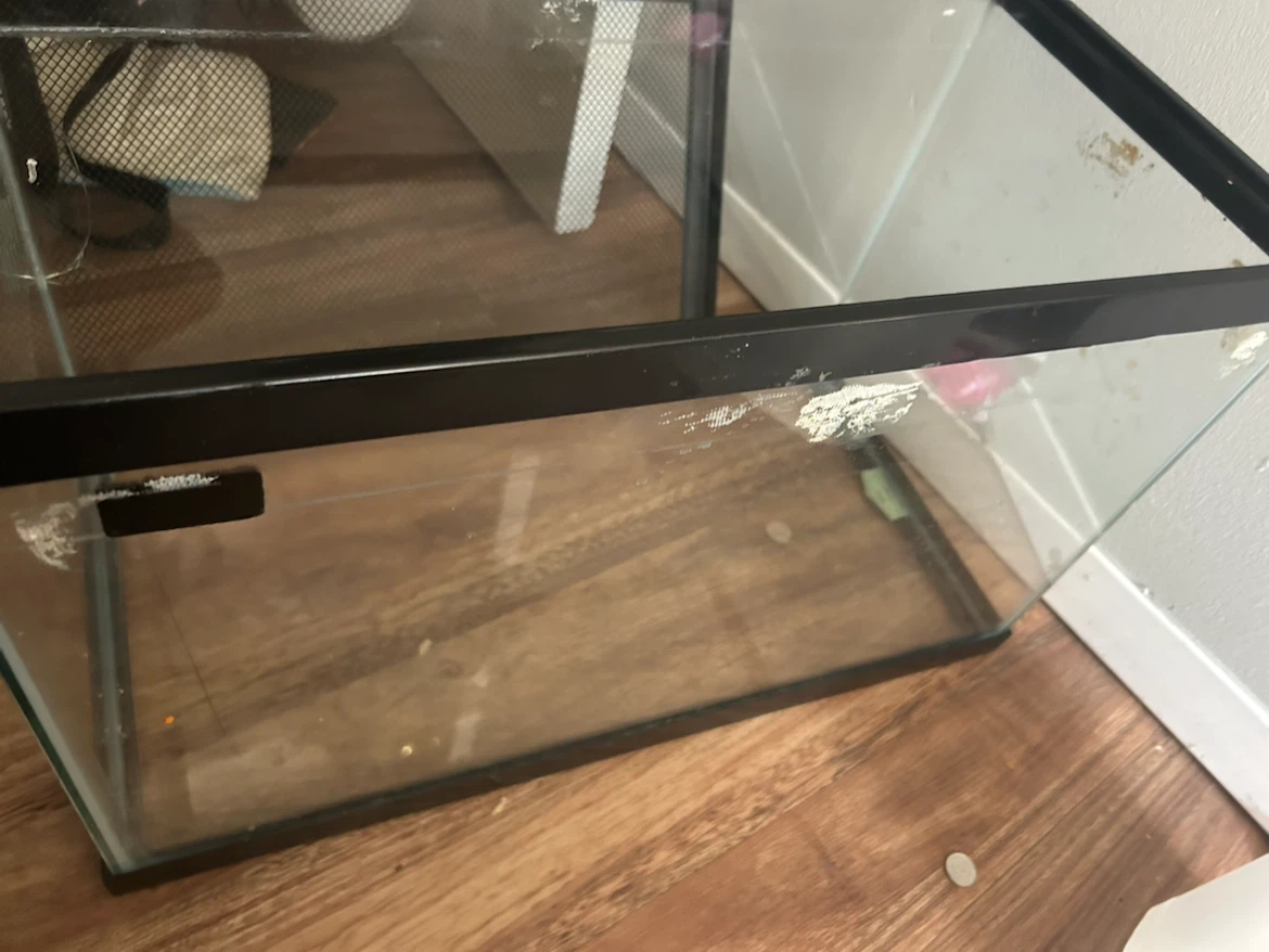 20 Gallon Glass Terrarium Tank with Mesh Lid - photo 3