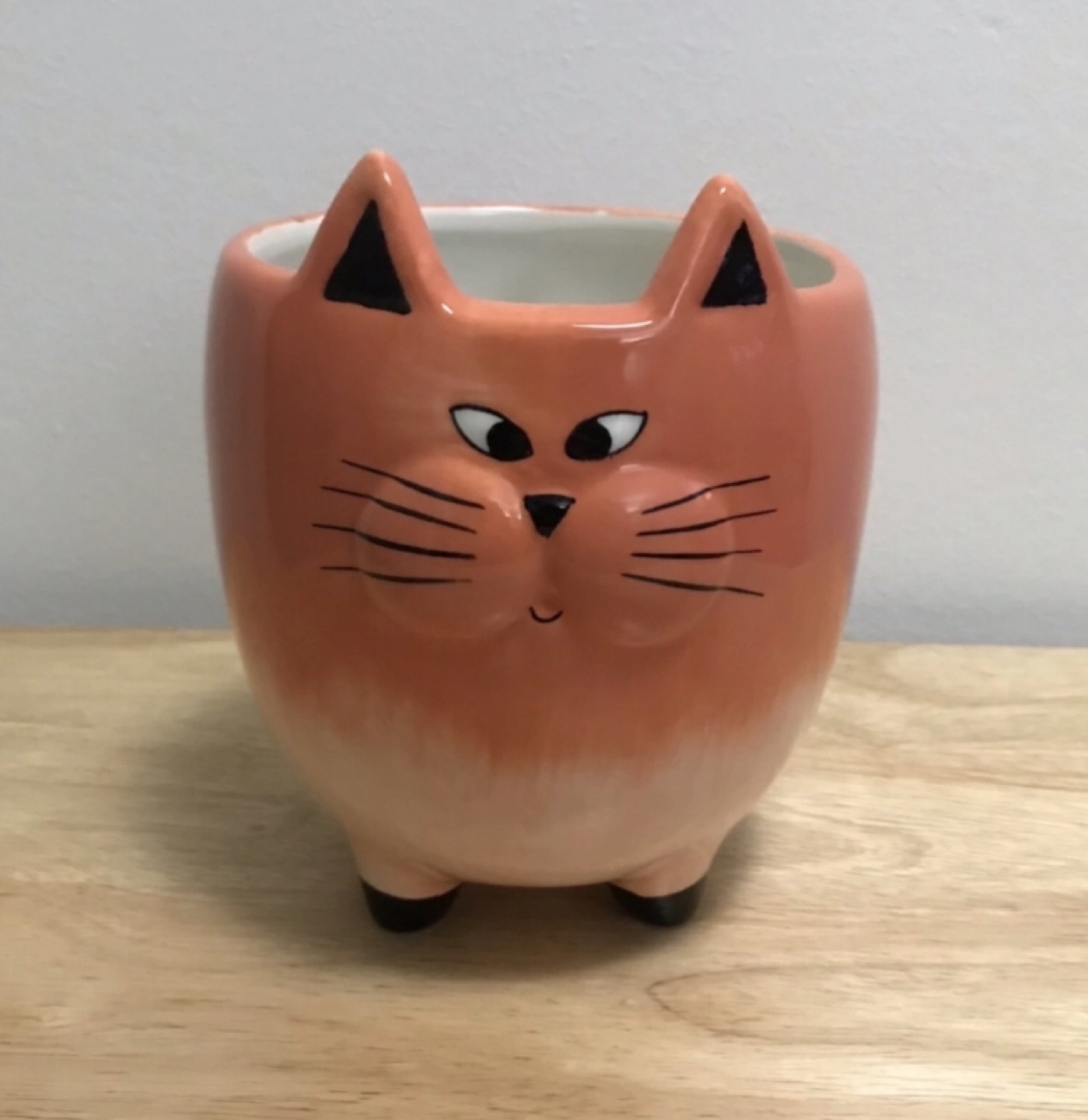 Cat shaped planter