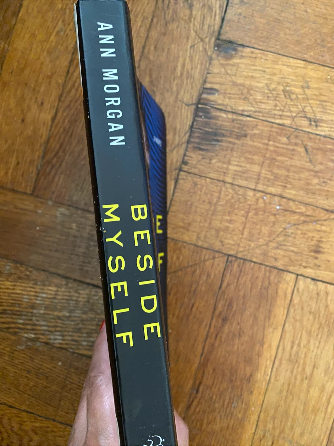 Beside Myself by Ann Morgan Novel - photo 2