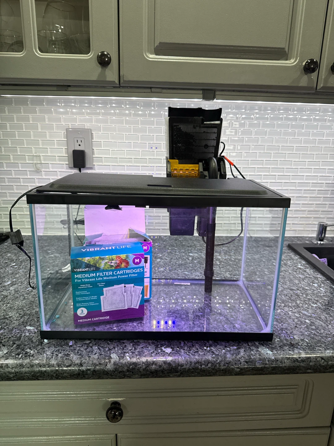 5 gallon fish tank