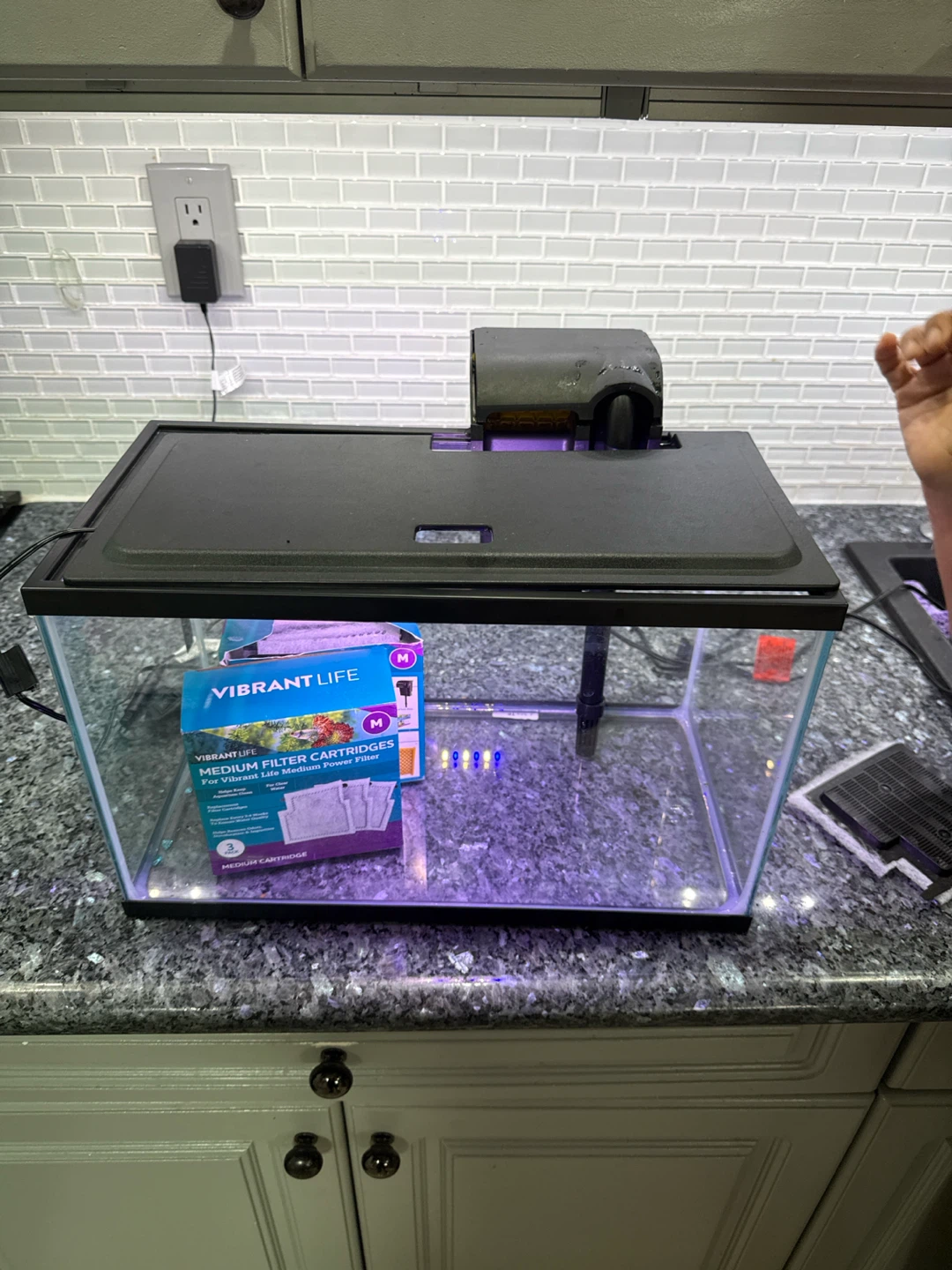 5 gallon fish tank - photo 2