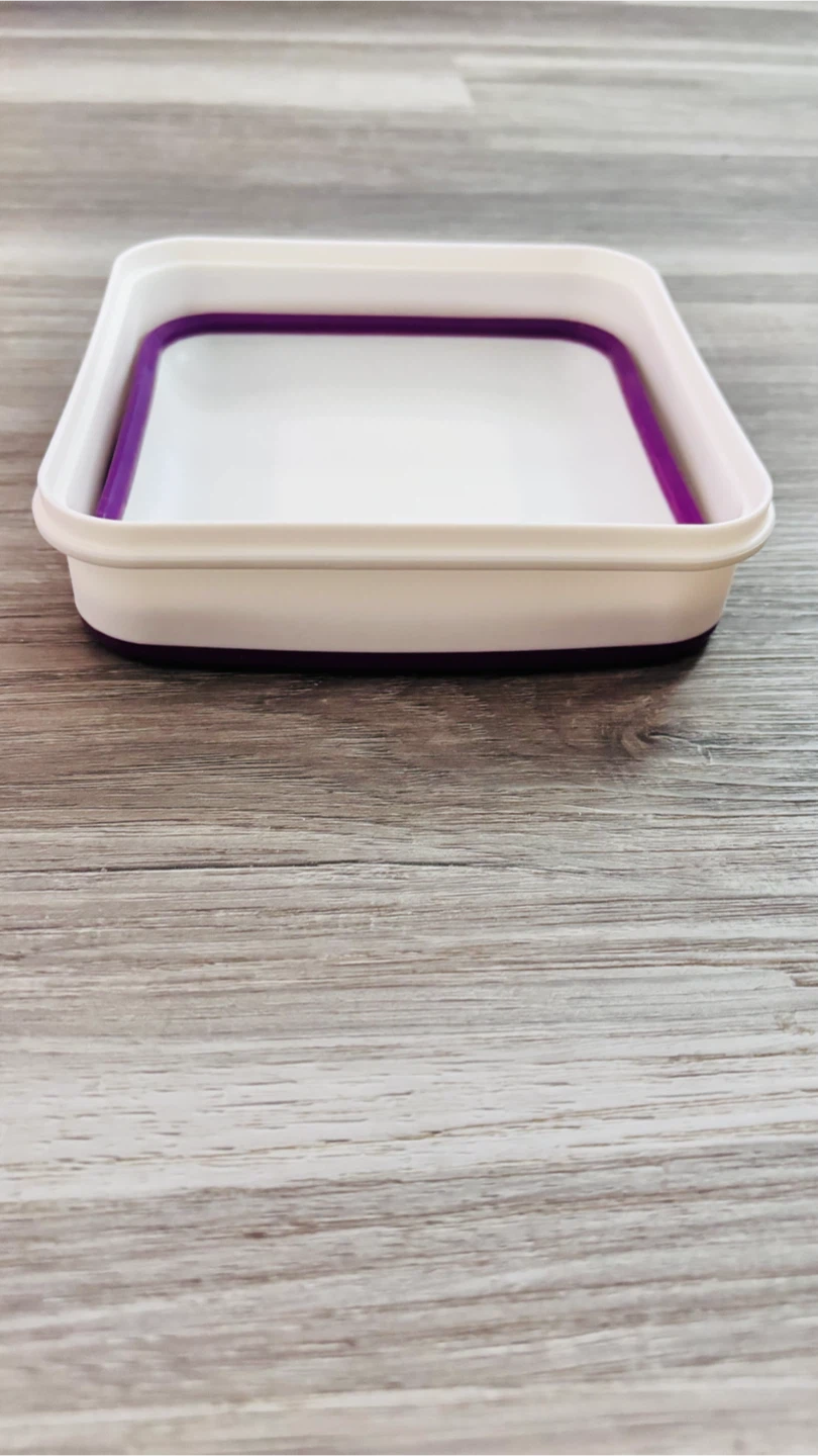 Coolgear Bento Box with EZ-Freeze - photo 4