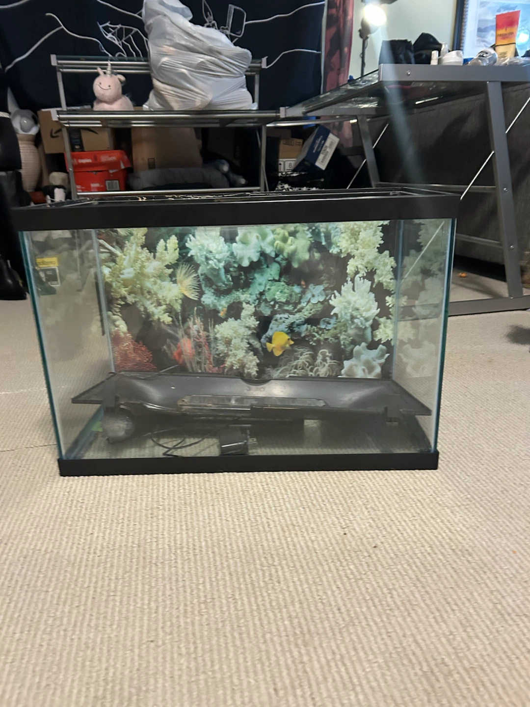 Glass Aquarium Tank with Filter and Decorations