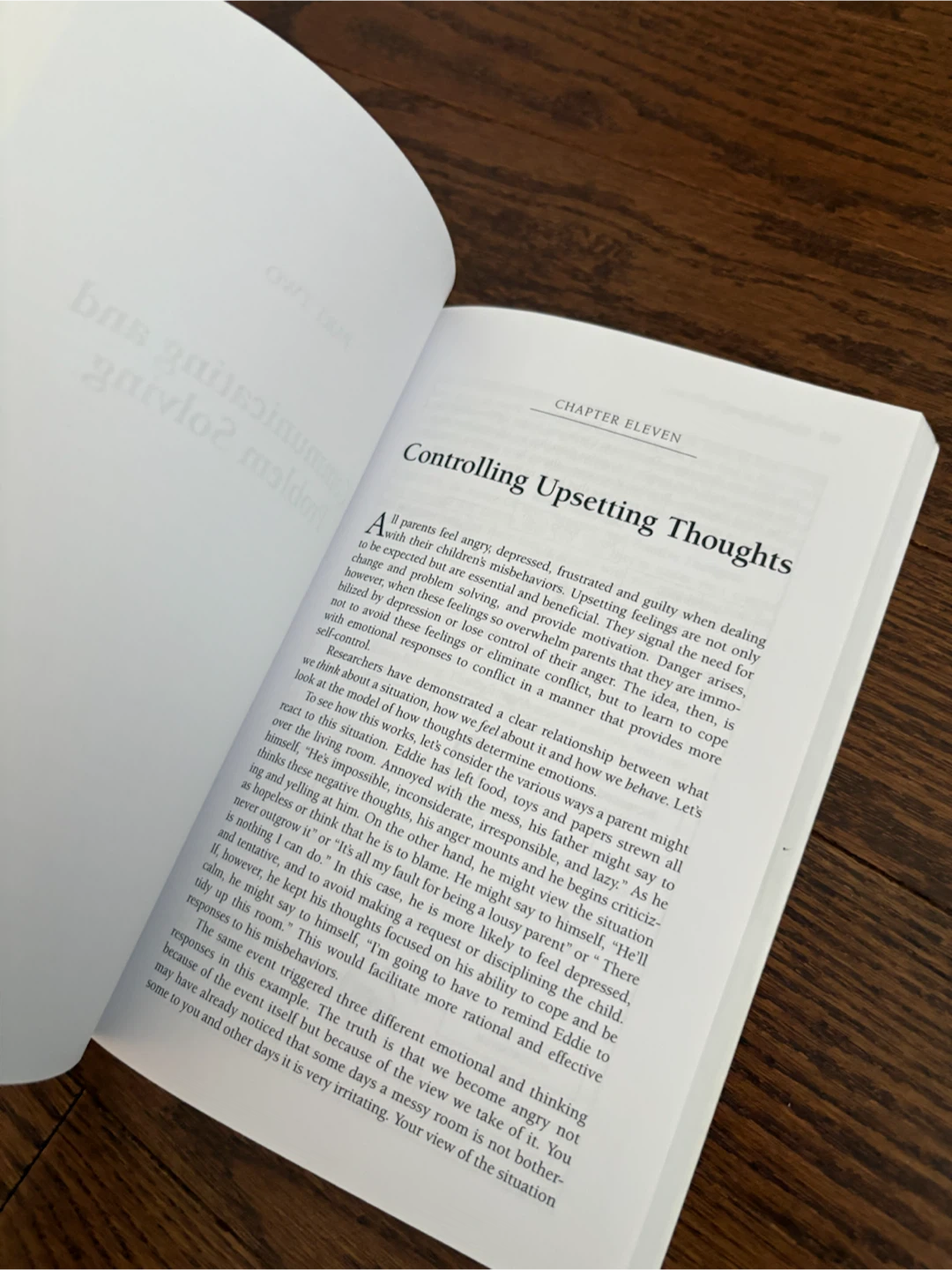 The Incredible Years Book - photo 2