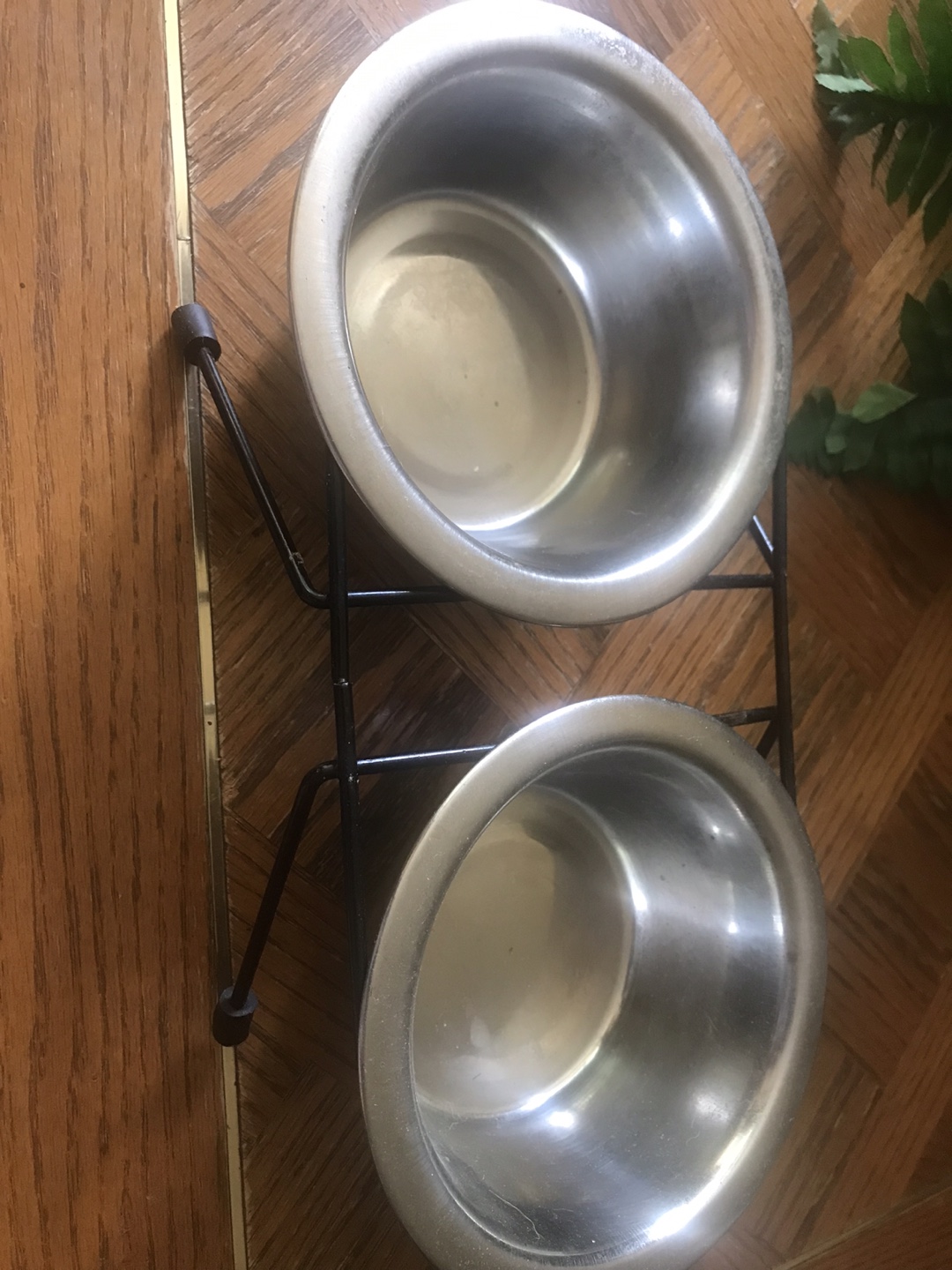 Dog Bowls with Stand -crack to one side-Doesn’t really affect