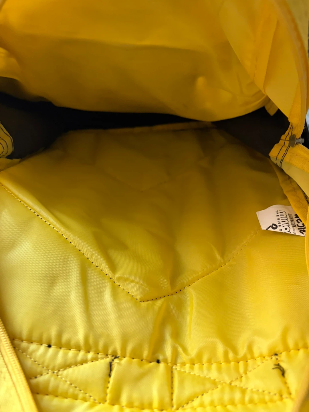 Despicable Me Minions Backpack - photo 5
