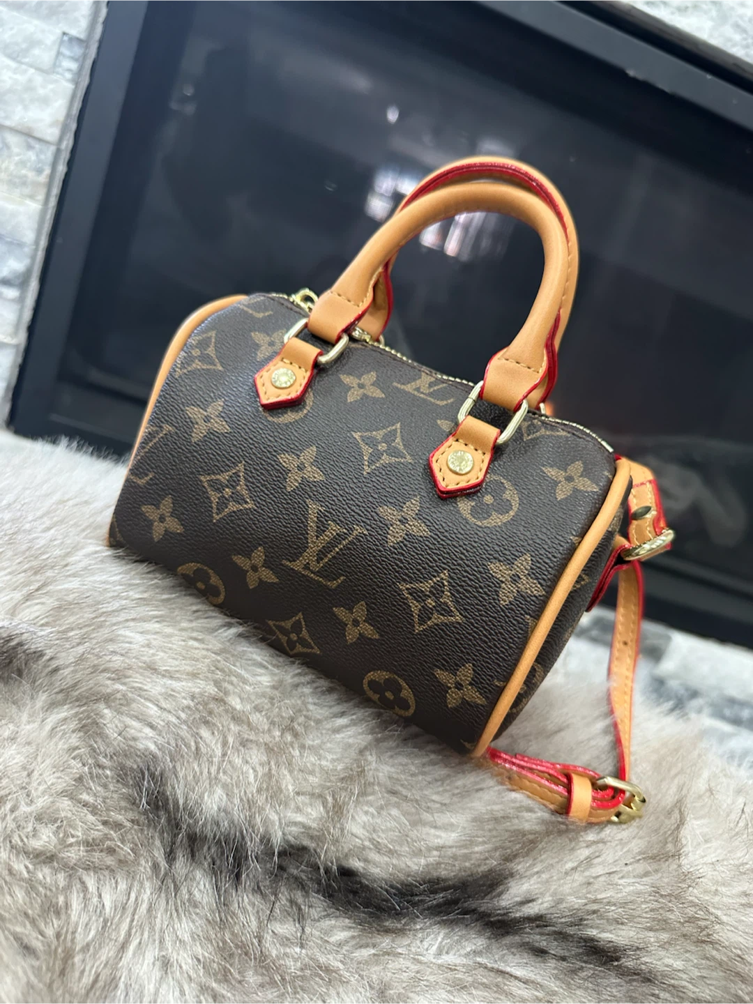 Louis Vuitton Speedy Mini Bag