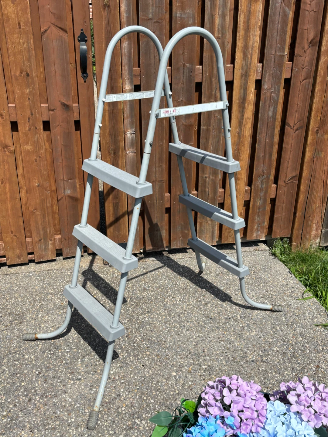 Pool Ladder