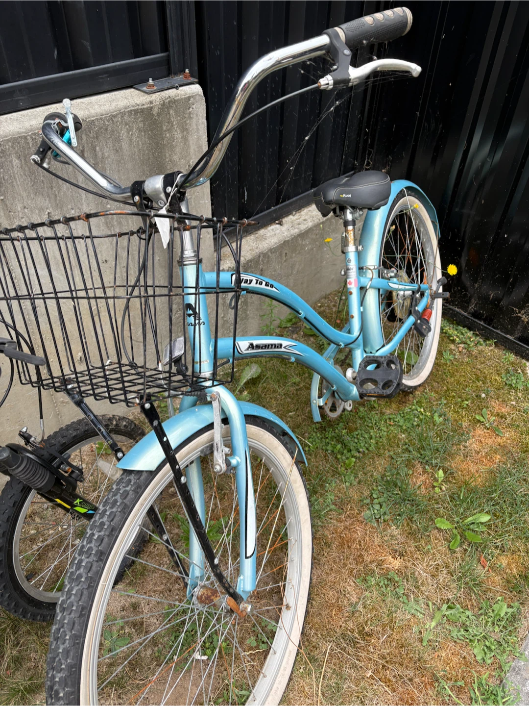 Ladies cruiser, bike and child starter bike