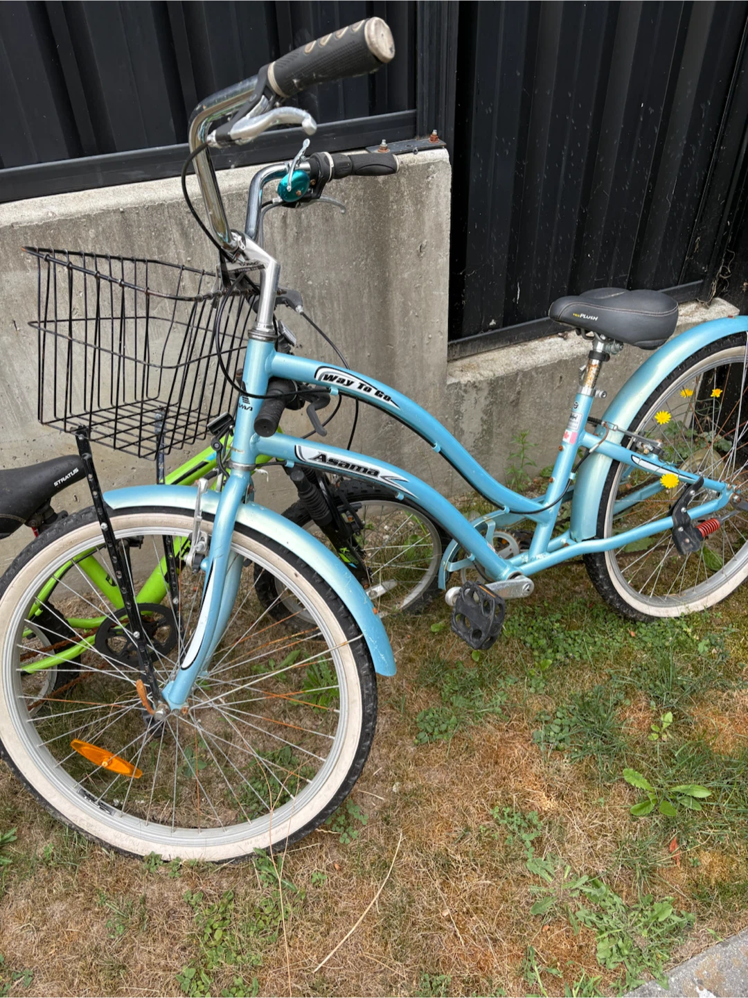 Ladies cruiser, bike and child starter bike - photo 2