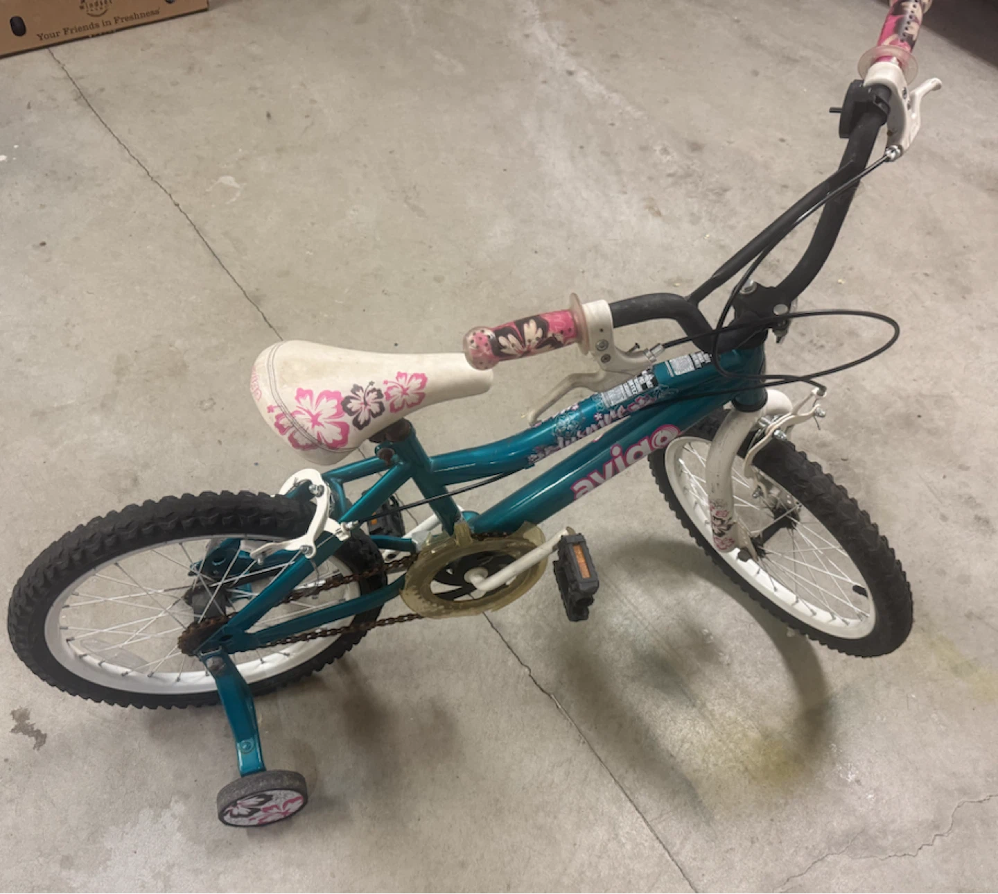 Avigo Teal Kids Bike with Training Wheels