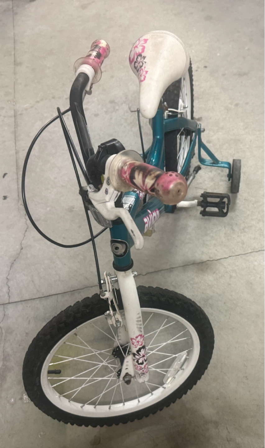 Avigo Teal Kids Bike with Training Wheels - photo 3