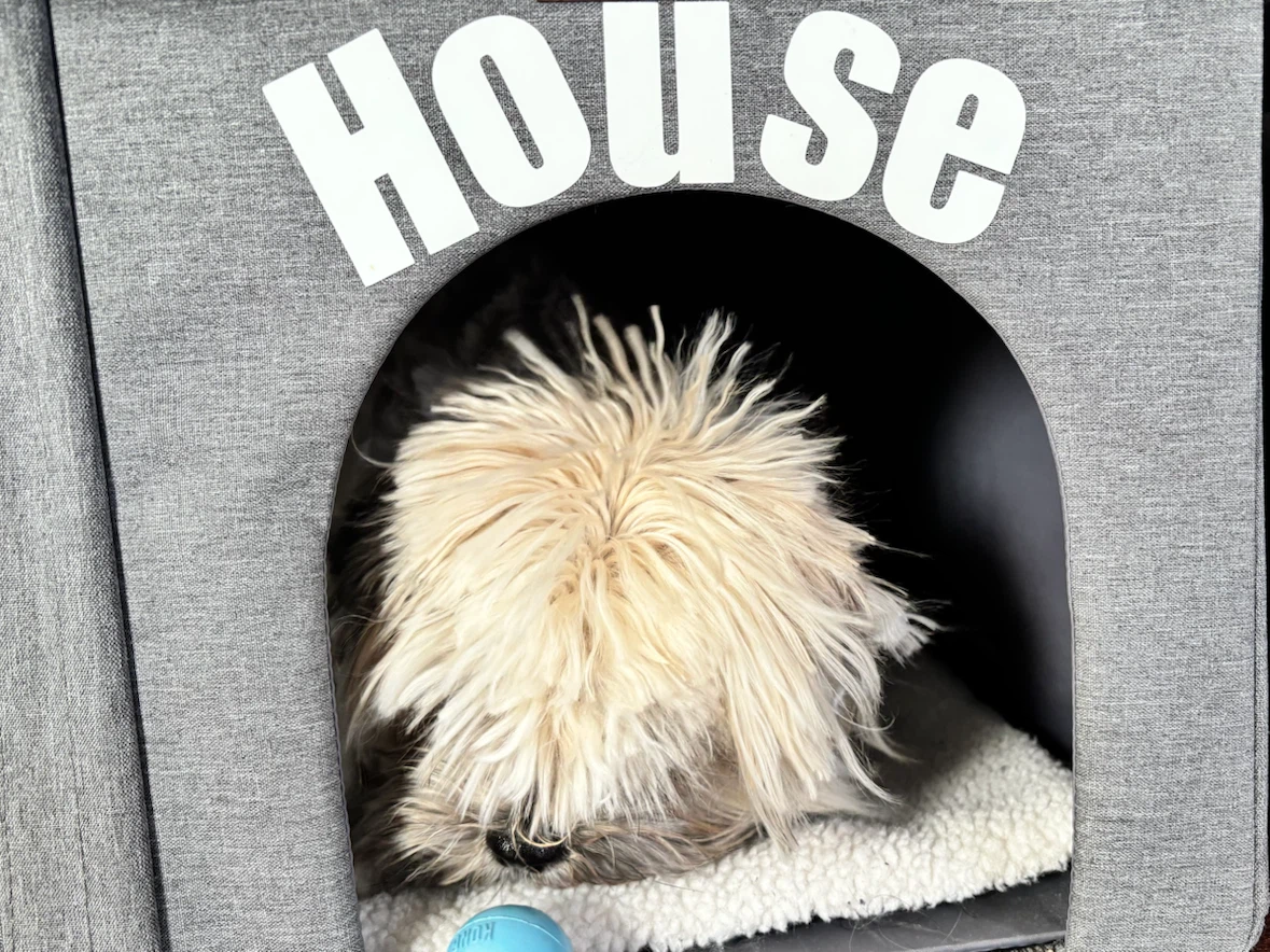 Pet house