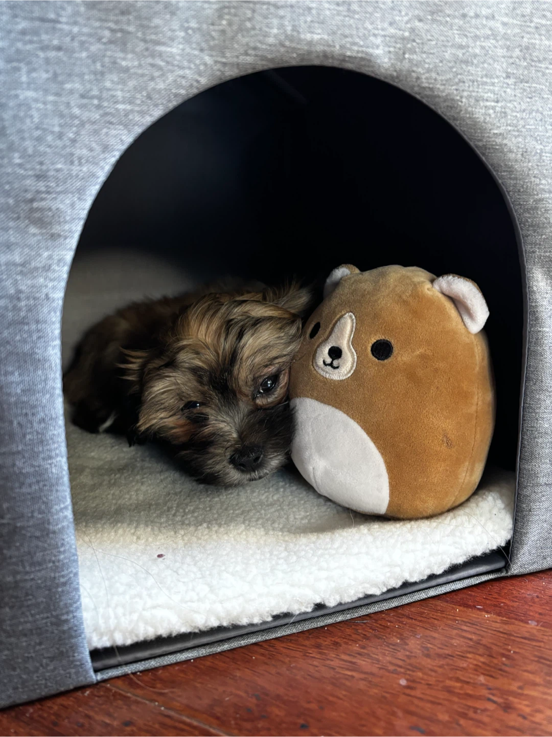 Pet house - photo 3