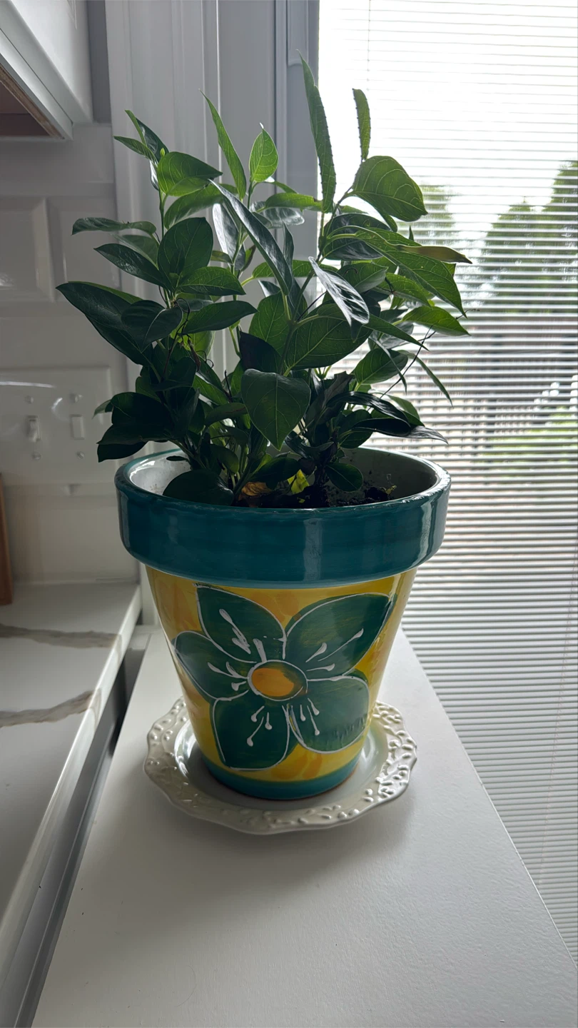 Decorative Yellow and Teal Flower Pot
