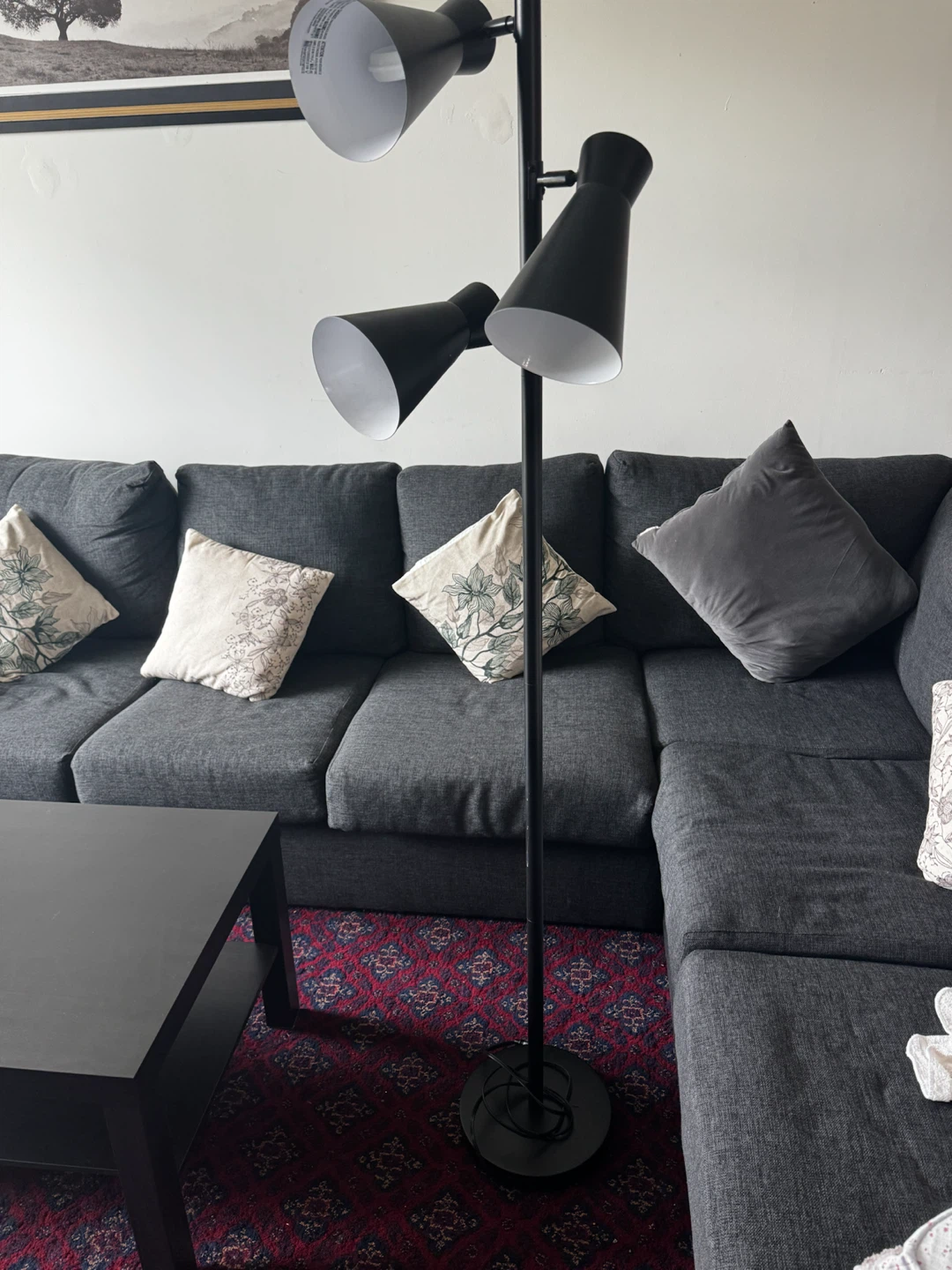 Black Floor Lamp with 3 Adjustable Heads