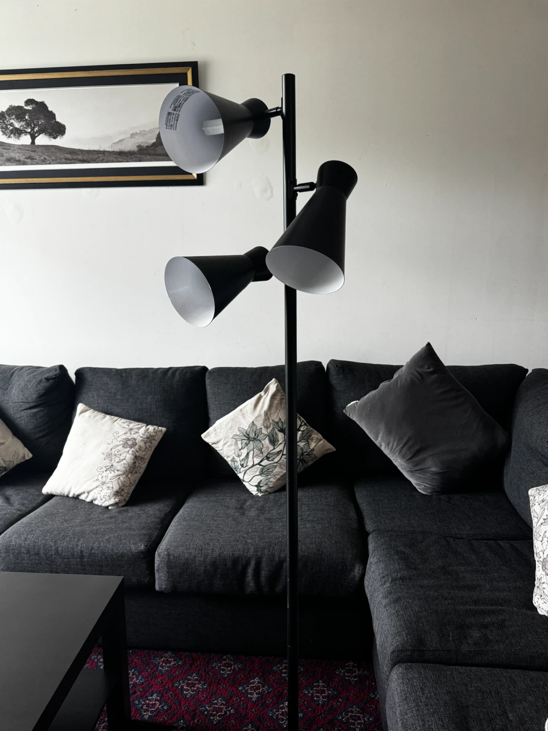 Black Floor Lamp with 3 Adjustable Heads - photo 2