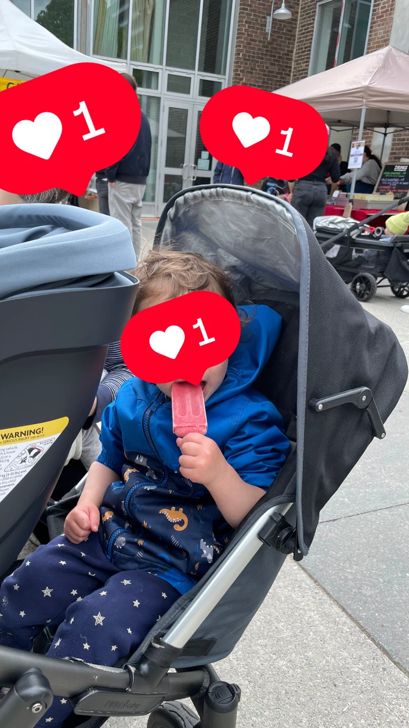 UPPAbaby Vista Stroller with Many Accessories - photo 3