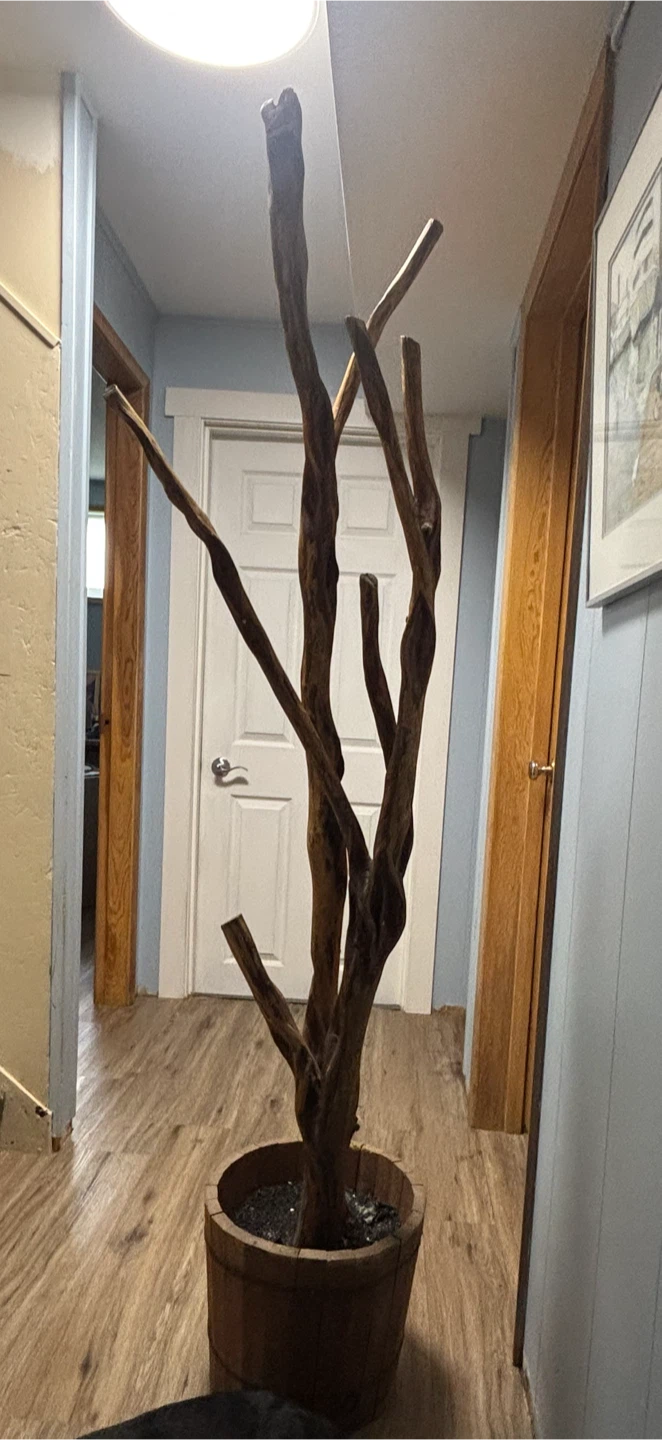 Decorative Tree Branch in Wood Planter