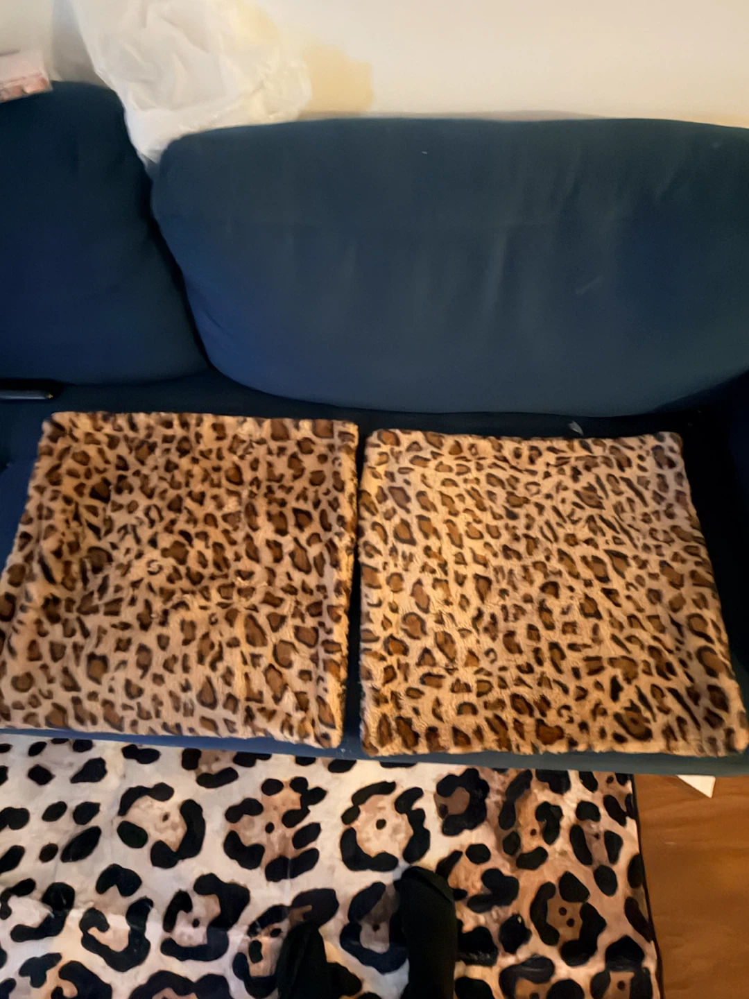 2 Leopard pillow cases