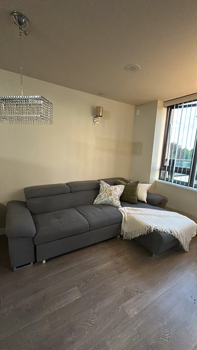Grey Sectional Sofa Bed