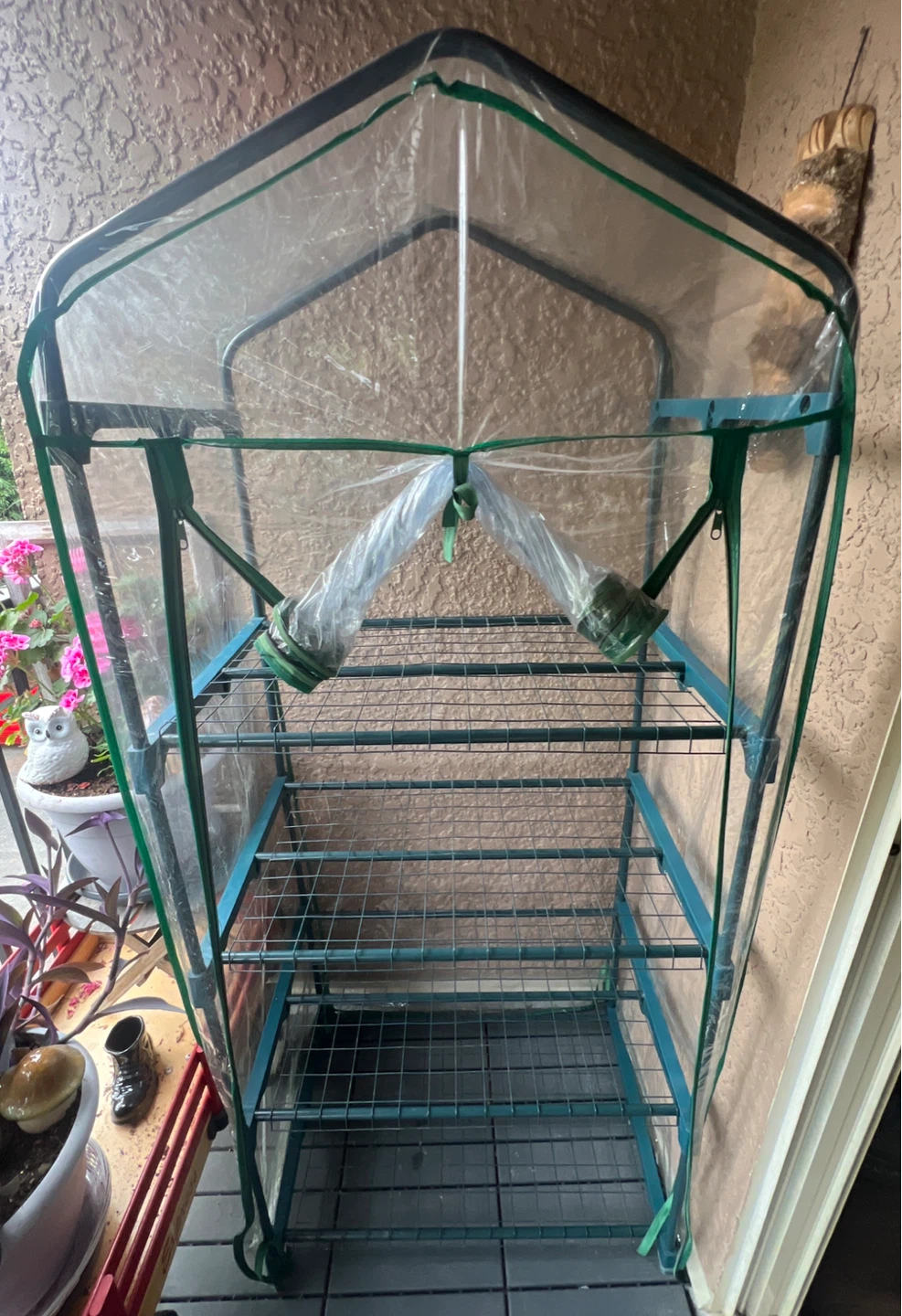 Mini Greenhouse with Clear Cover – Perfect for Patio/Balcony