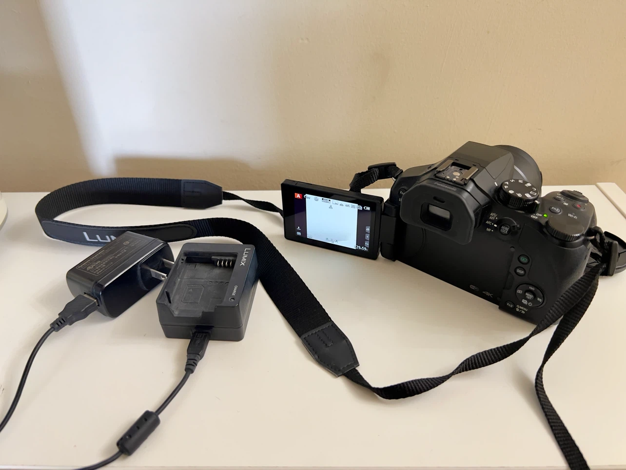 Panasonic Lumix DC-FZ300 Digital Camera - photo 2