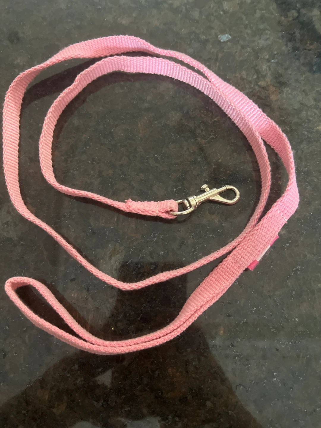 Pink Dog Leash
