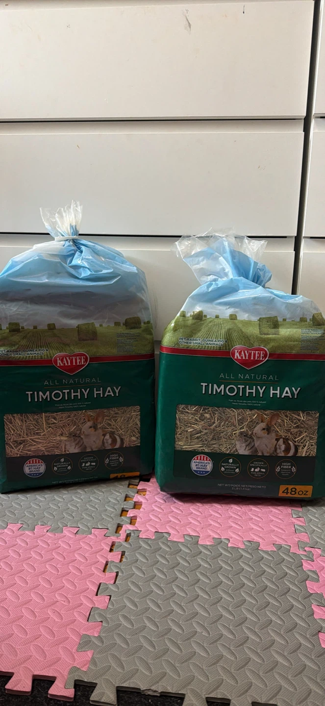Timothy Hay