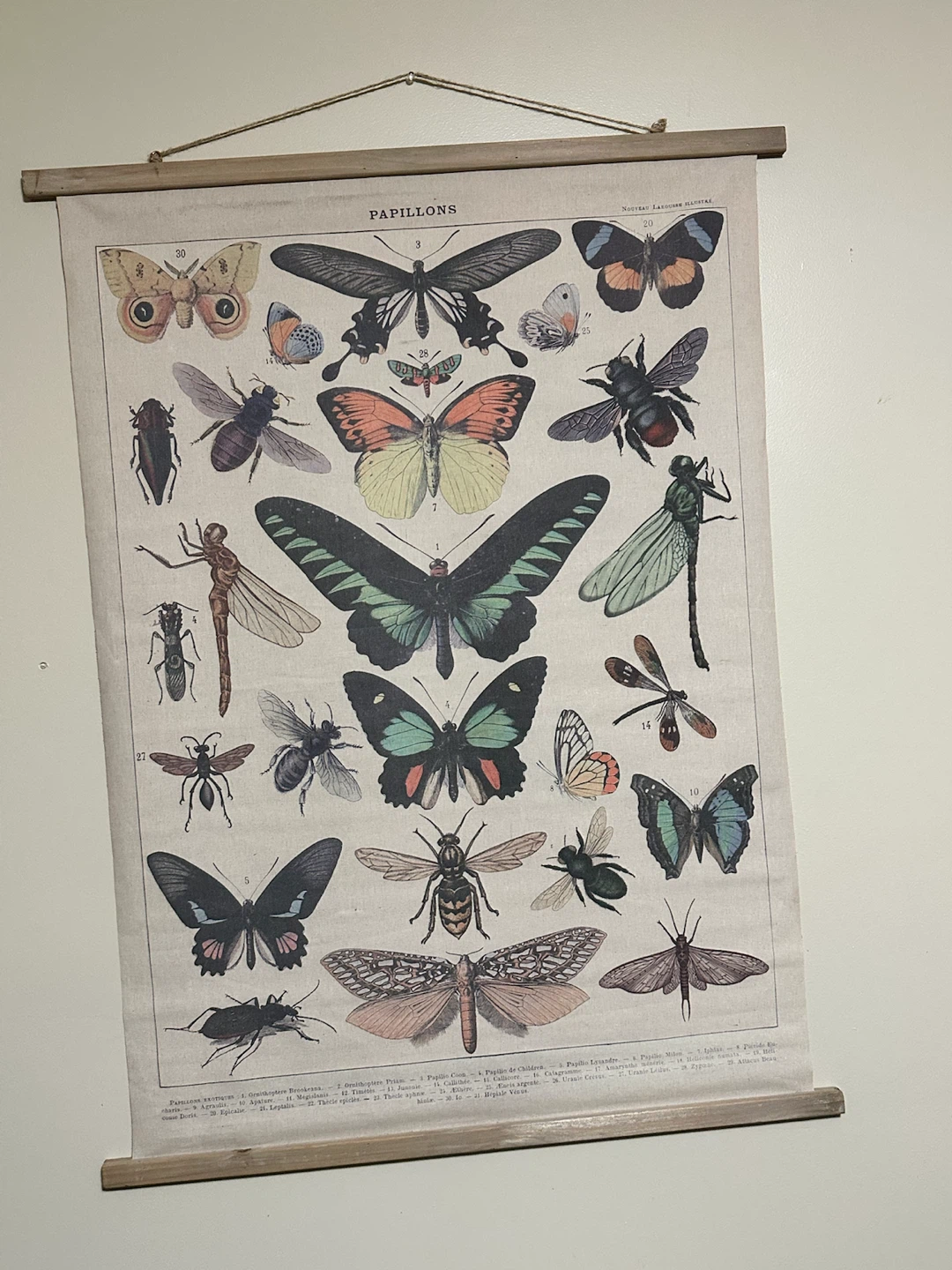 Butterfly Chart Wall Hanging
