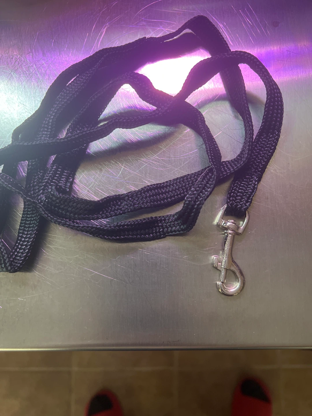 Black Dog Leash