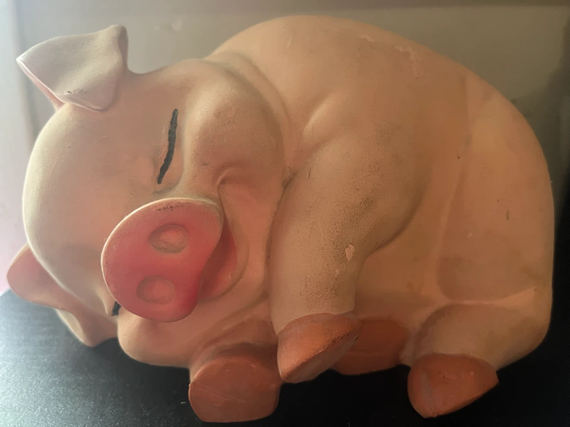 Sleeping Piggy Bank
